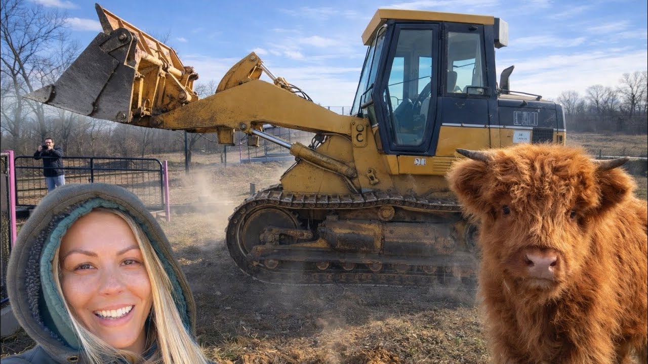 I Woke Up To This Surprise In My Pasture! 