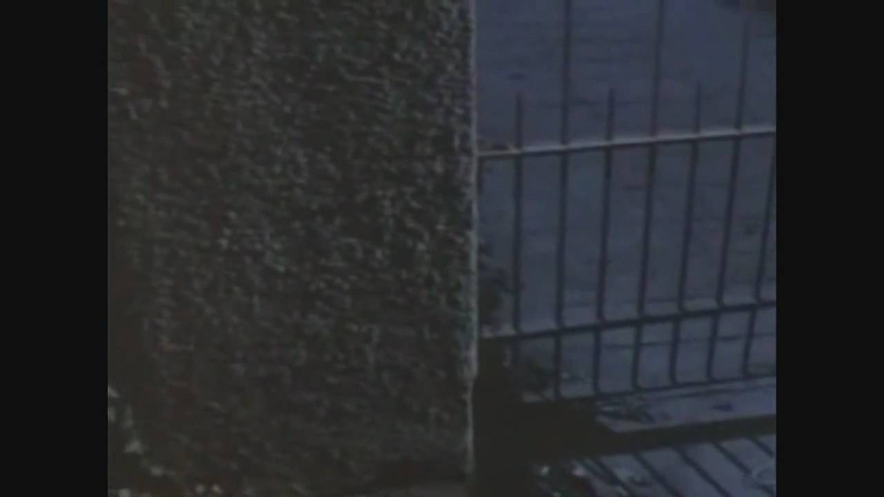Night of the Creeps 1986 alternate ending