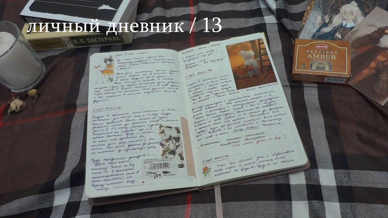 личный дневник / 13 (ч.1)