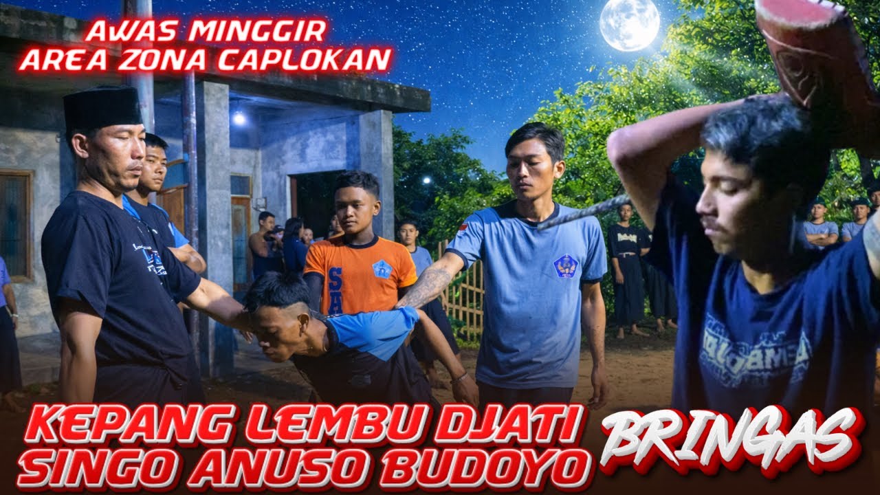 CAPLOKAN BRINGAS‼️SINGO ANUSO BUDOYO feat LEMBU DJATI FULL KALAPAN LIVE GLATIK SINGOSARI