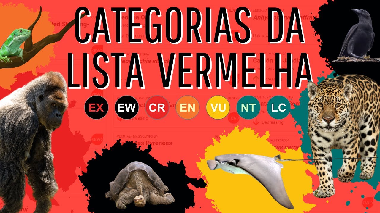 COMO AS ESPÉCIES SÃO CLASSIFICADAS NA LISTA VERMELHA DA IUCN?