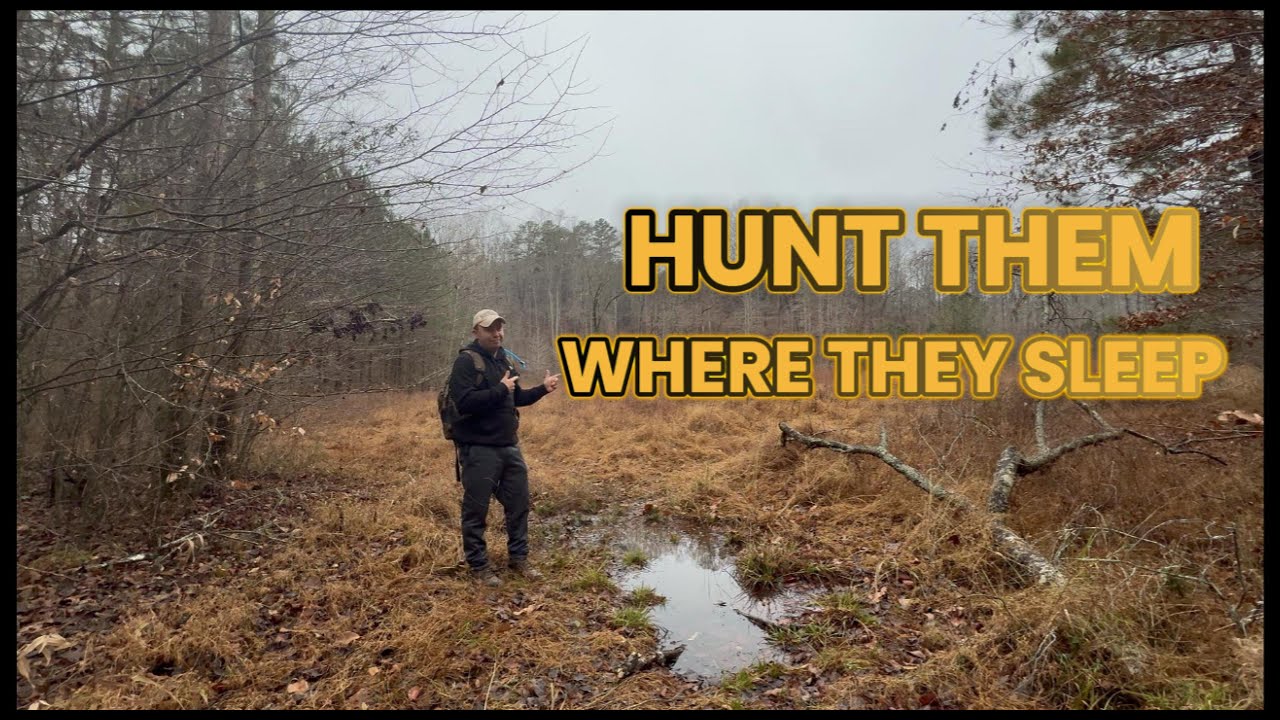 HUNT THEM WHERE THEY SLEEP