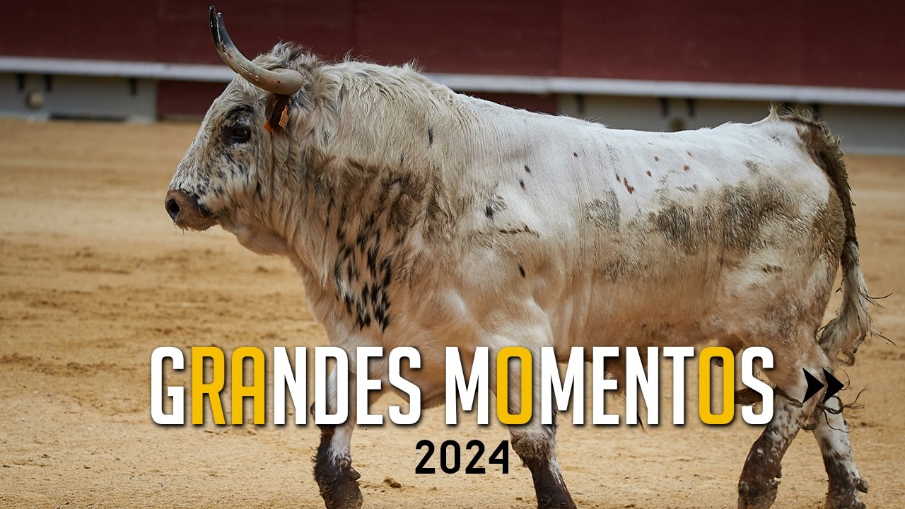 🤩 GRANDES MOMENTOS de 2024 &middot; S&eacute;ptima parte