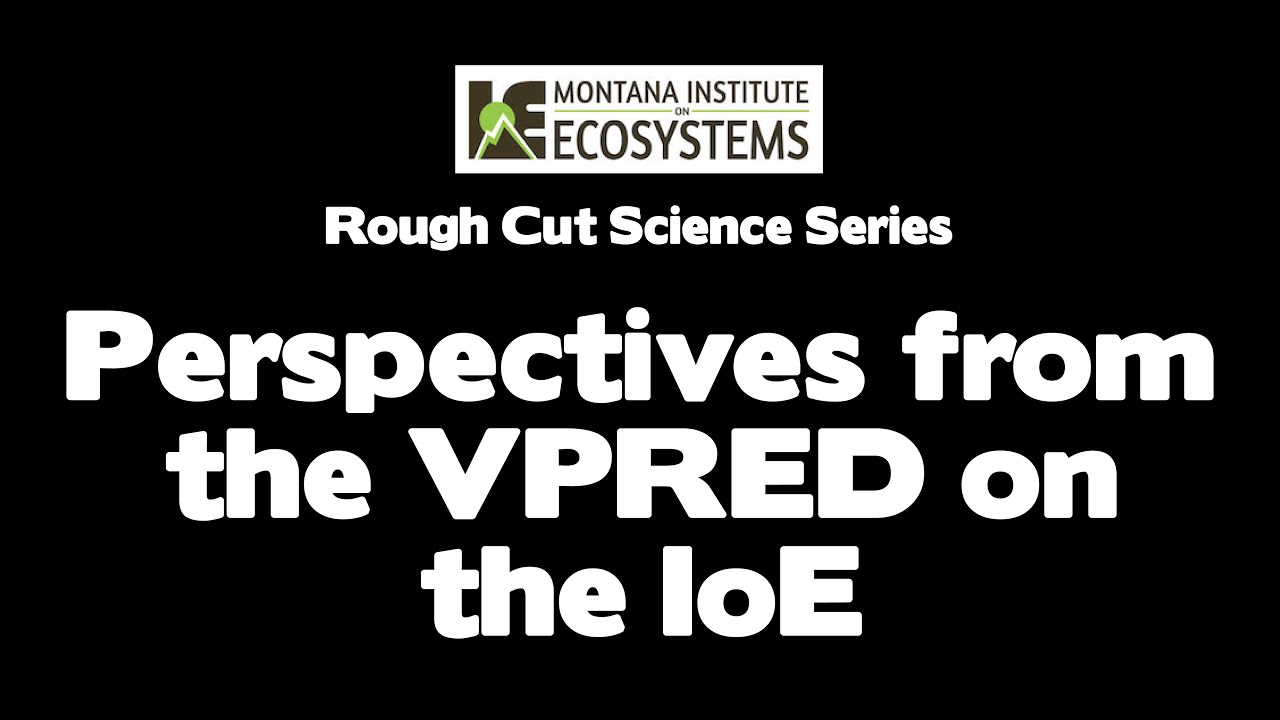 Perspectives from the VPRED on the IoE
