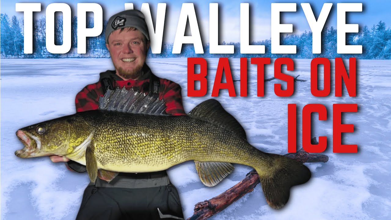 ICE Fishing Walleyes like a PRO - Baits that work!