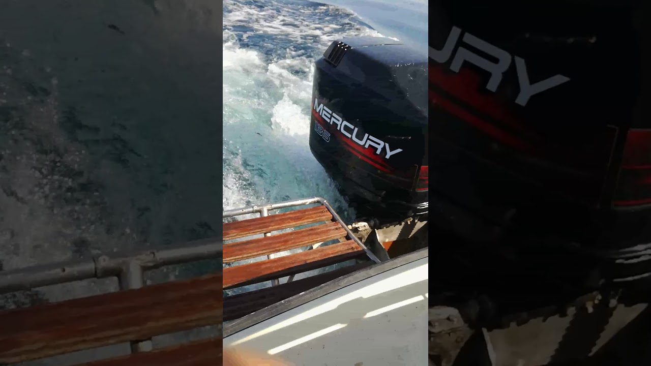 Fjord 21 con Mercury 135 V6