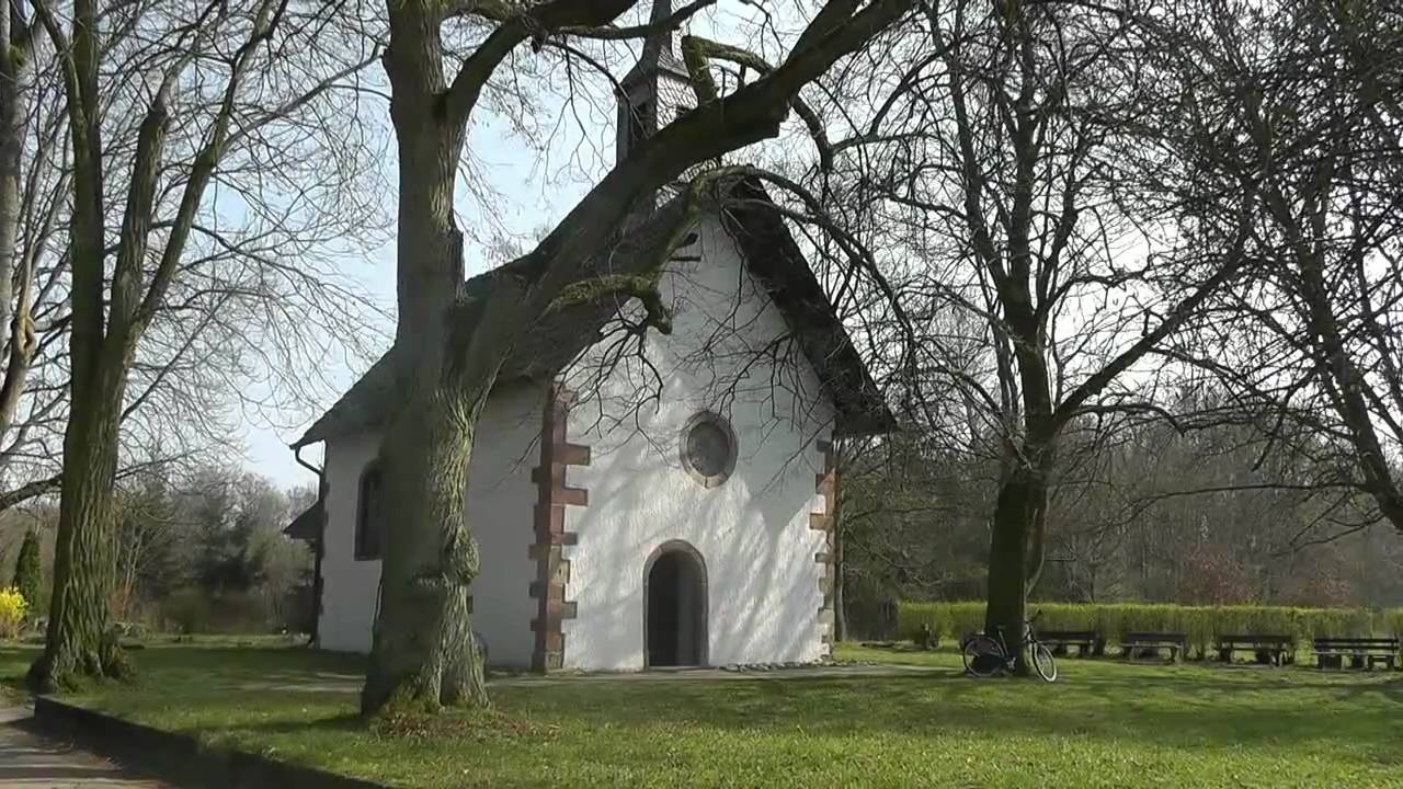 Jockgrimer Impressionen