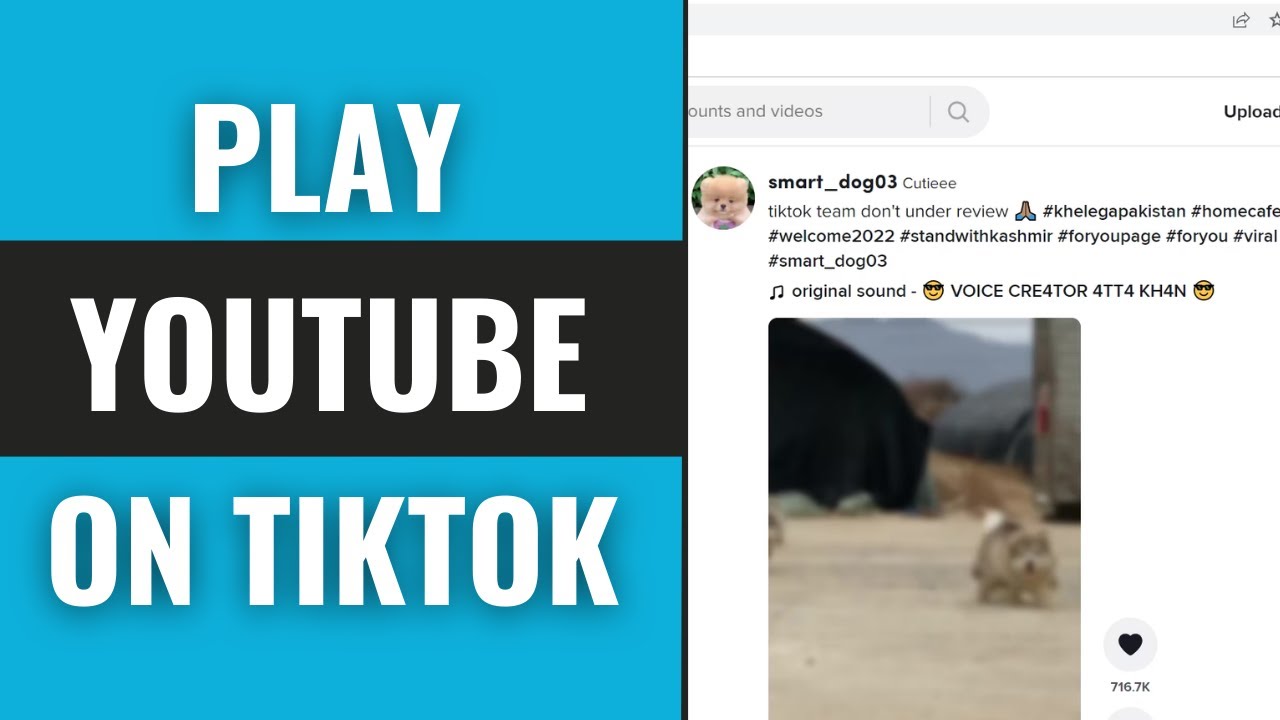 КАК ВОСПРОИЗВЕСТИ ВИДЕО С YOUTUBE В TIKTOK LIVE 2025