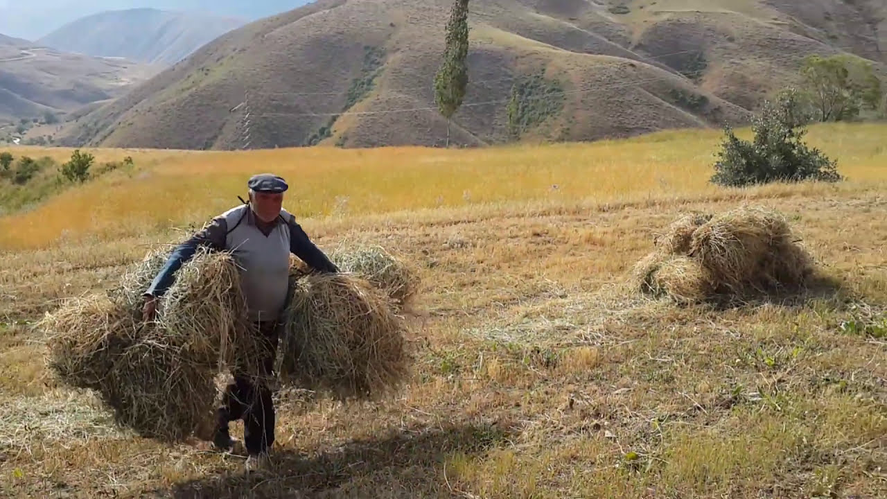 Iğdır tuzluca ugurca köyünden