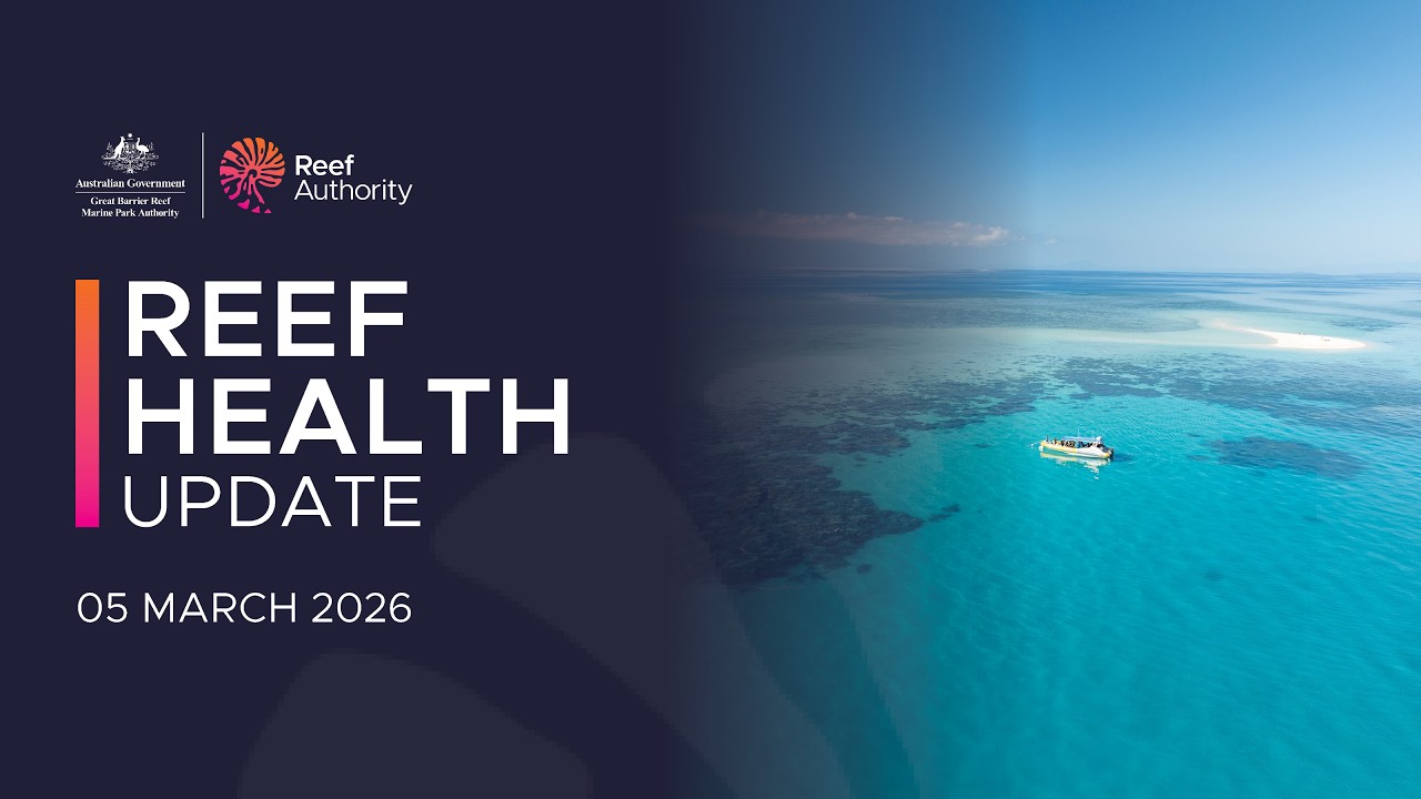 Reef health update – 5 March 2026