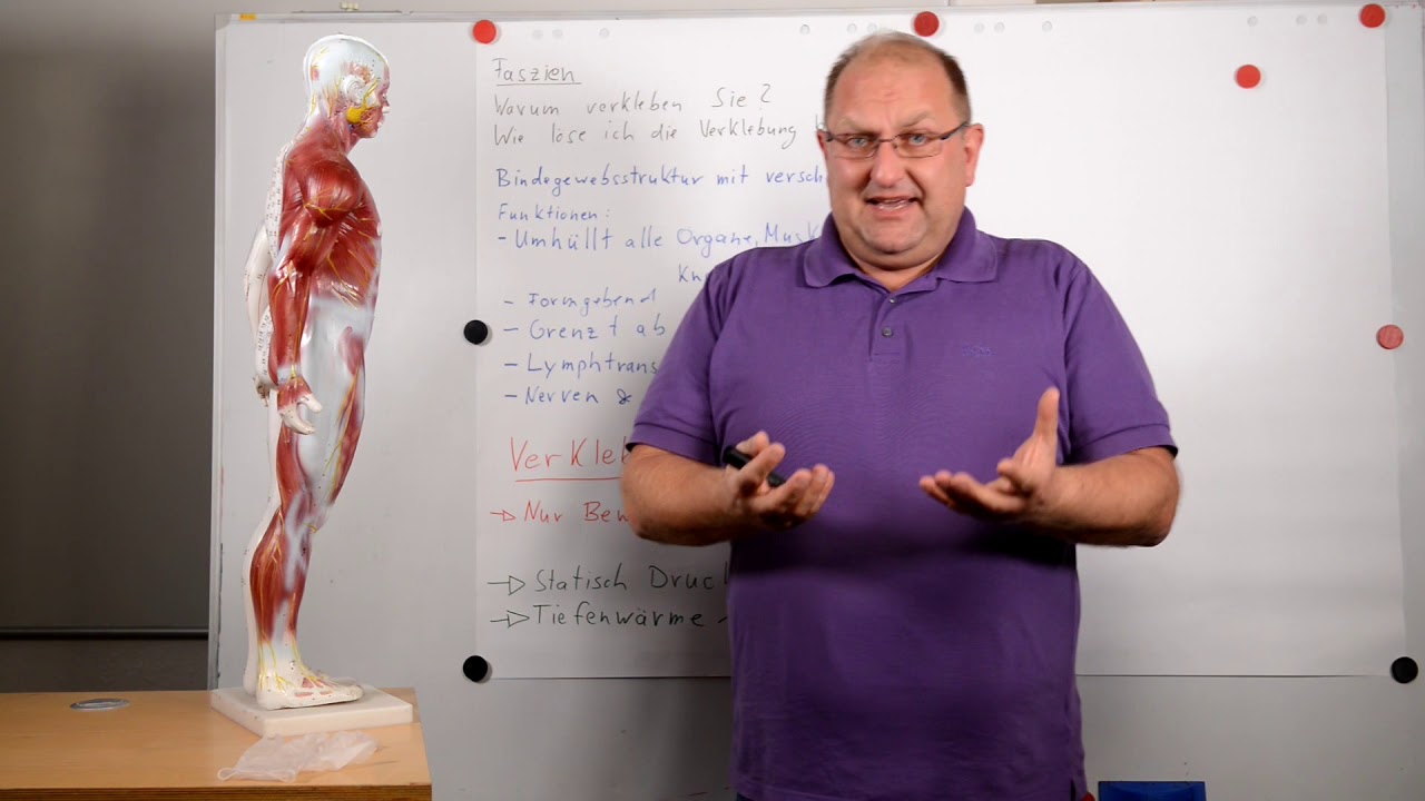 Was sind Faszien und warum verkleben diese? Wie l&ouml;se ich diese Verklebung?