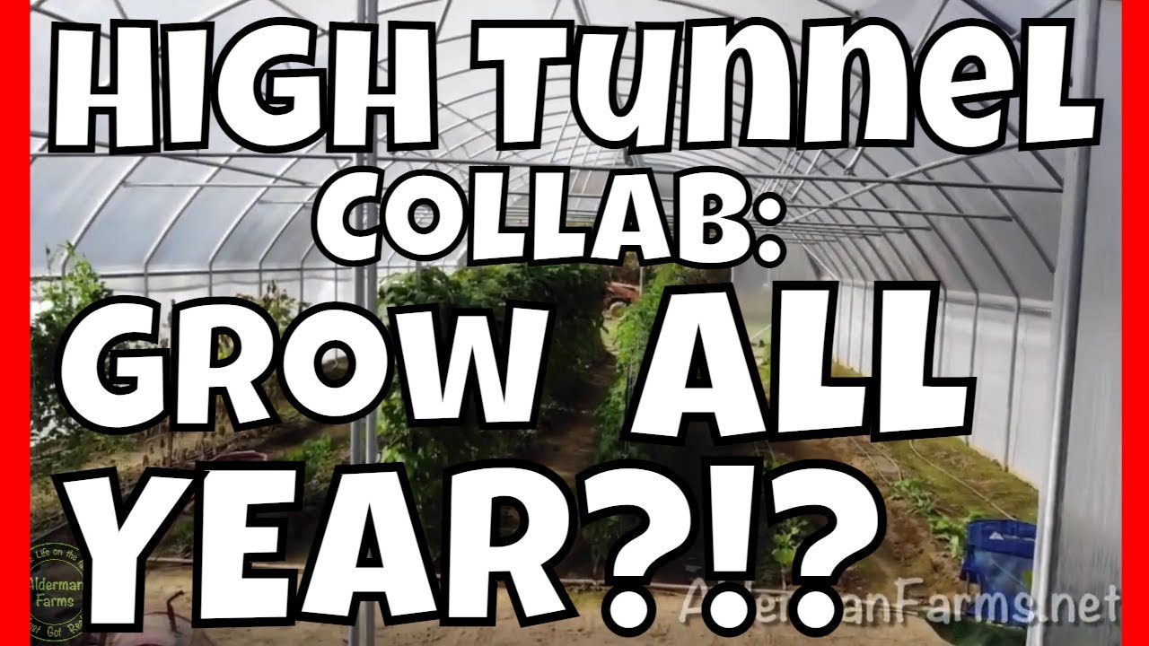 Growing Year Round in a High Tunnel at AldermanFarms | A  Collab