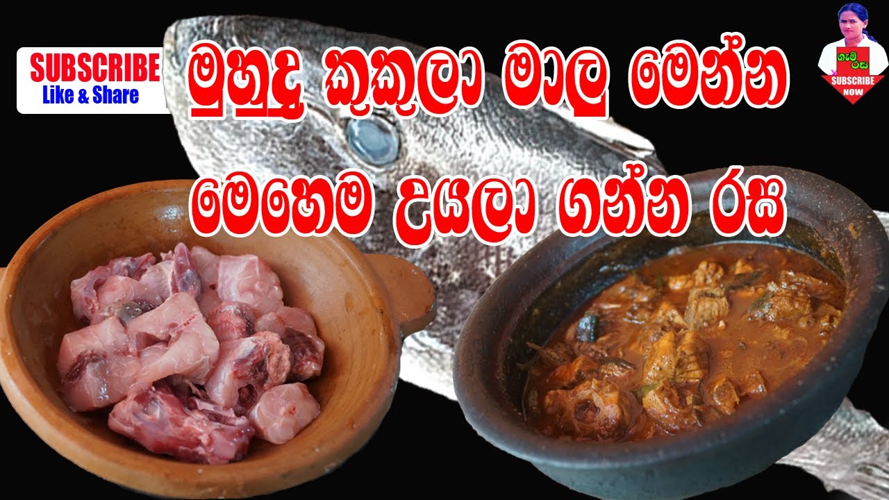 Sea Cock  Fish Curry  මුහුදු කුකුලා මාළුවා තෙලට හදමු