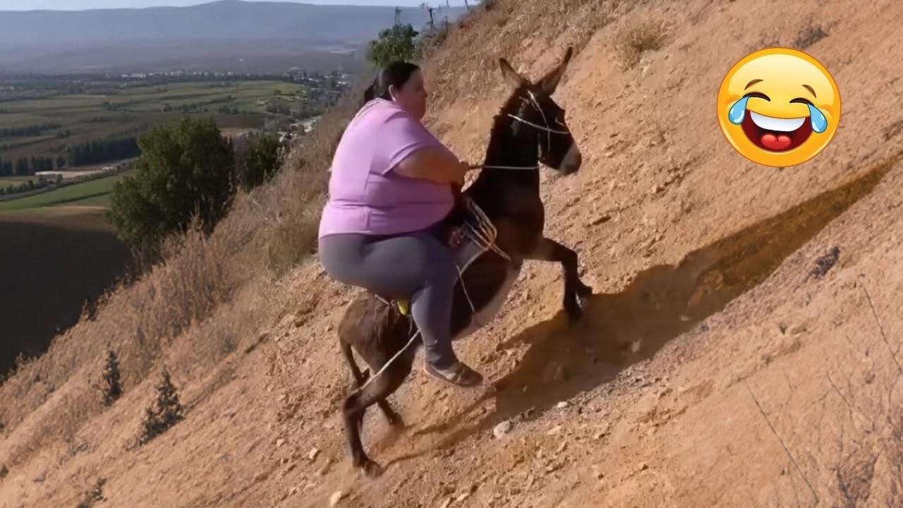 Try Not To Laugh 🤣 Top 100 Funniest Videos Ever 🎬🔥 Memes, Epic Fails & Pranks Compilation Part 04