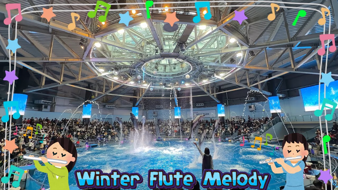【完全版】マクセルアクアパーク品川 ドルフィンパフォーマンス（イルカショー）　デイVer.「Winter Flute Melody」【4K】