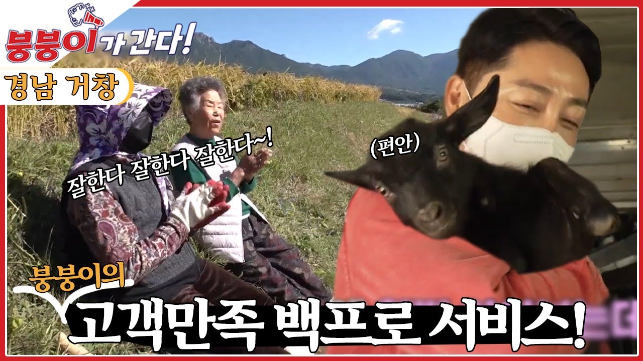[붕붕이가 간다!] 거창한 하루 [6시 내고향] | KBS 221024 방송