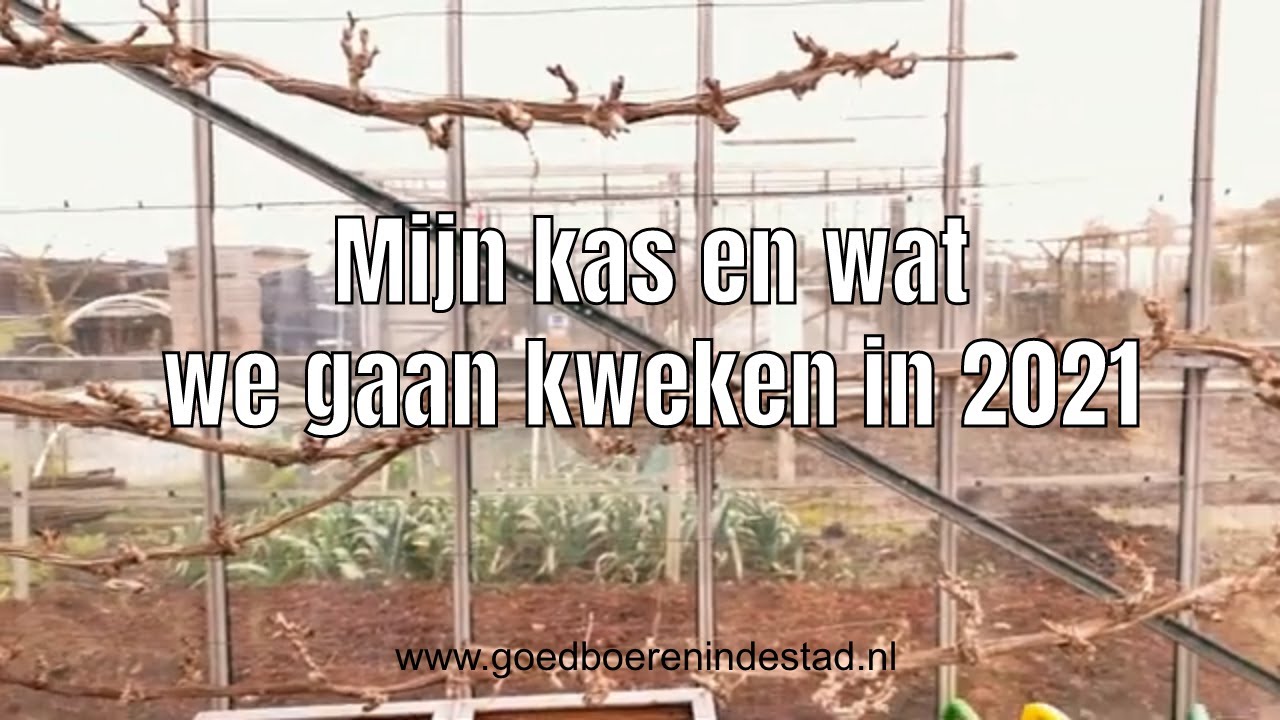 Mijn kas en wat we gaan kweken in 2021 (S04E02)