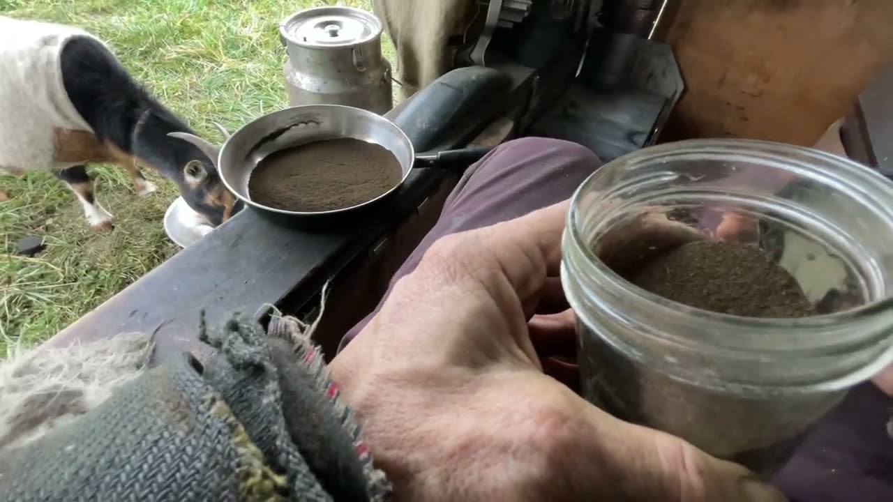World’s First Roasted Nettle Tea