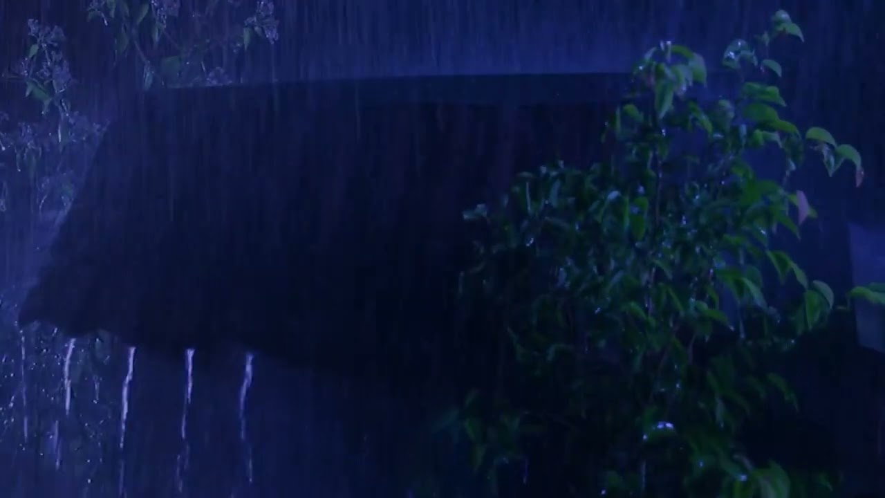 Natural Night Rain on the Roof | Real Sounds for Rest and Relaxation