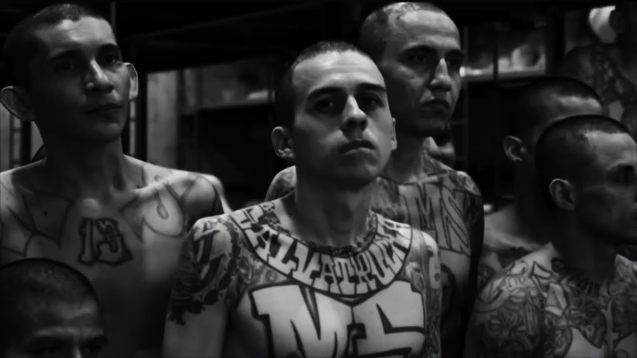 Borgata - Alo Brate Ko si Ti | Cecot | Revolver