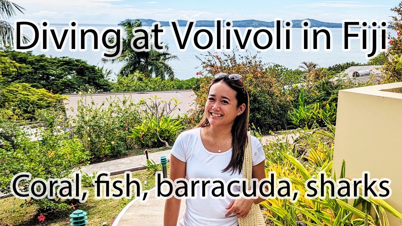 Pay's Diving in Fiji 2024 - Volivoli Resort - Sharks