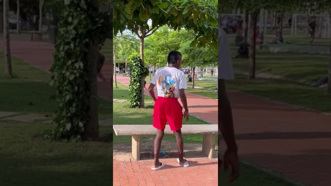 Yei y el árbol mágico 🪄