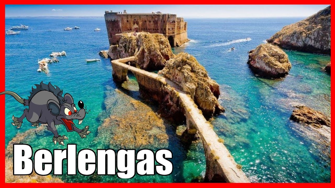 Giant Rats?! Let's Ride to Berlenga Island!