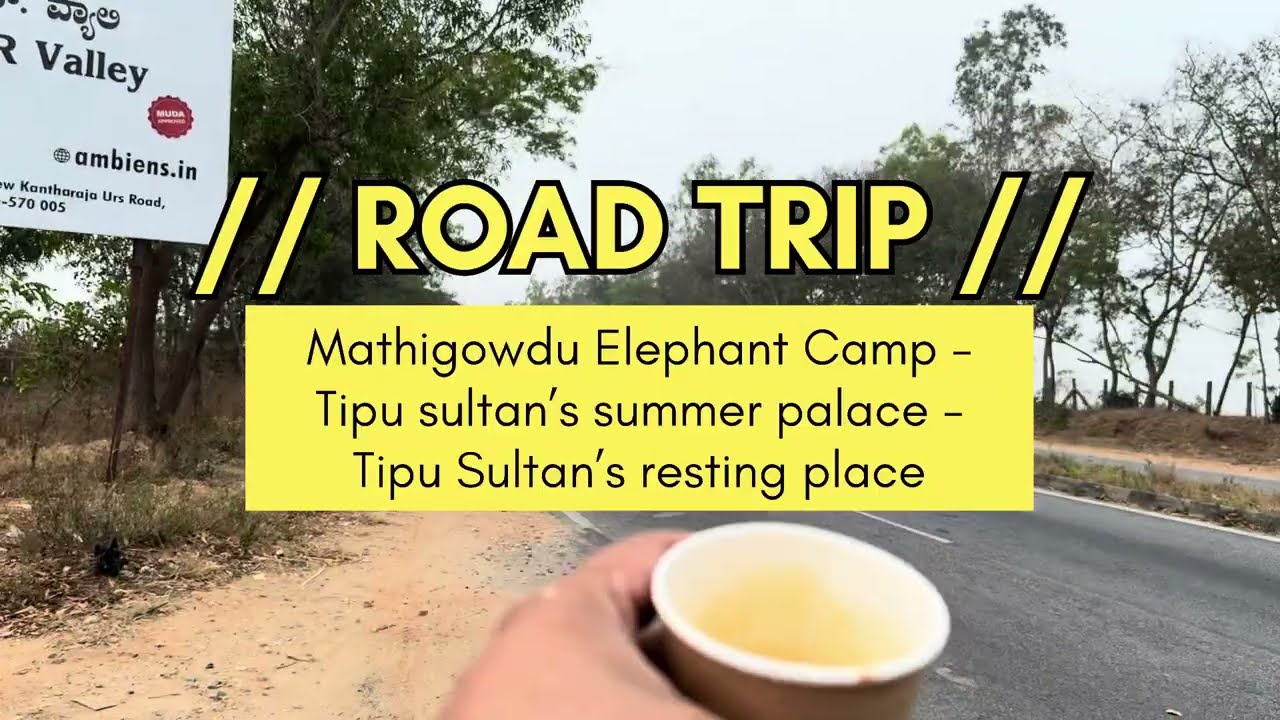 One day trip from Bengaluru (232Km) • Mathigowdu Elephant Camp • Tipu Sultan’s Palace • Mysore Road 