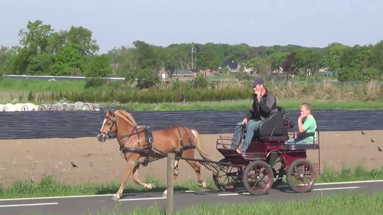 Paard en Koets Menclub Leveroy en Echt rit in Mofert