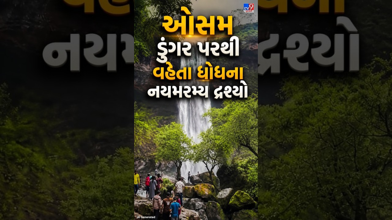 ધોરાજીના પાટણવાવમાં વરસાદ બાદ ખિલ્યું કુદરતી સૌંદર્ય  | Gujarat | TV9Gujarati