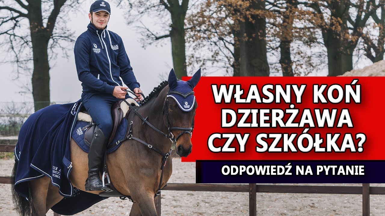Własny koń, szkółka czy dzierżawa? Odpowiedź na nurtujące pytanie.