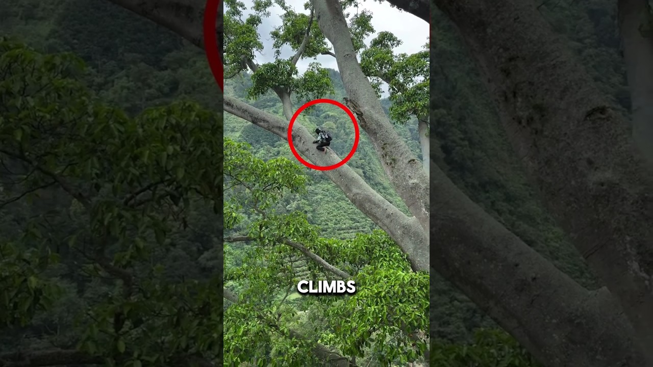 This Man Climbs Where Most People Would Never Look