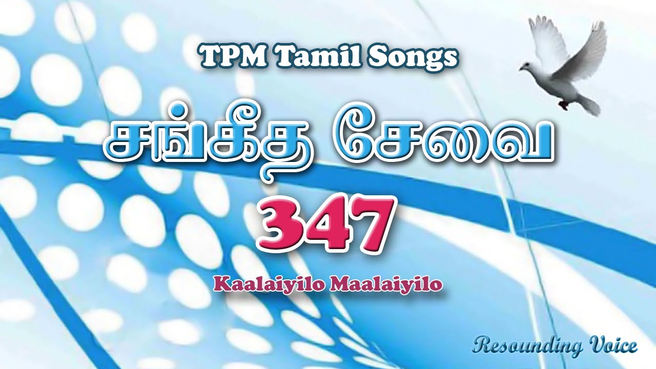 Kaalaiyilo Maalaiyilo | TPM Tamil Song | 347
