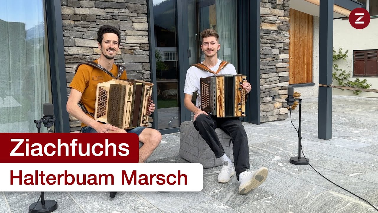 Halterbuam Marsch 😊🎶 - Steirische Harmonika