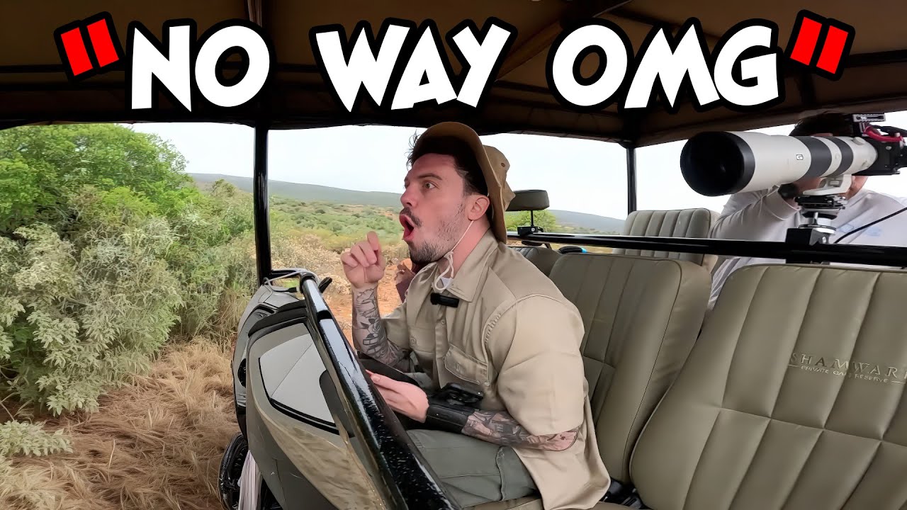 FaZe Adapt и Майя невероятно близко встречаются со львом 🇿🇦