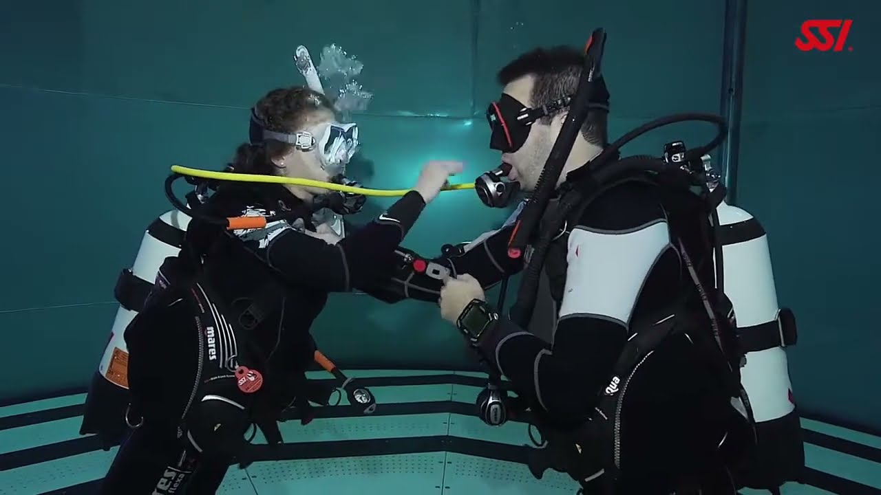 Air Sharing Ascent - Recreational Diving Skills