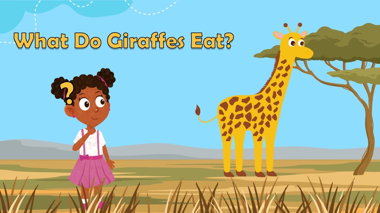 What Do Giraffes Eat? | Facts About Giraffes | Animal Facts for Kids | Science Facts For Kids