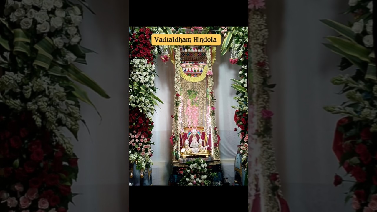 Vadtaldham Hindola #swaminarayankirtans #rinkushiv #gyanswamistatus
