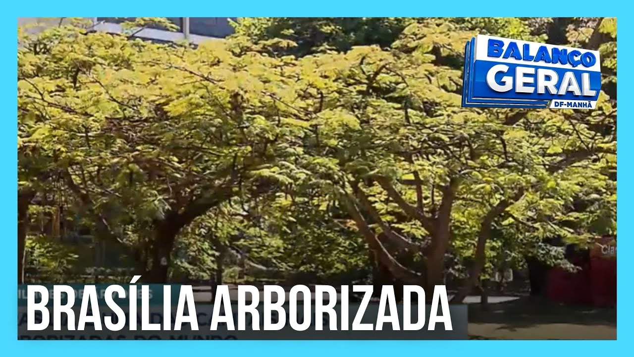 Bras&iacute;lia &eacute; uma das capitais mais arborizadas do mundo