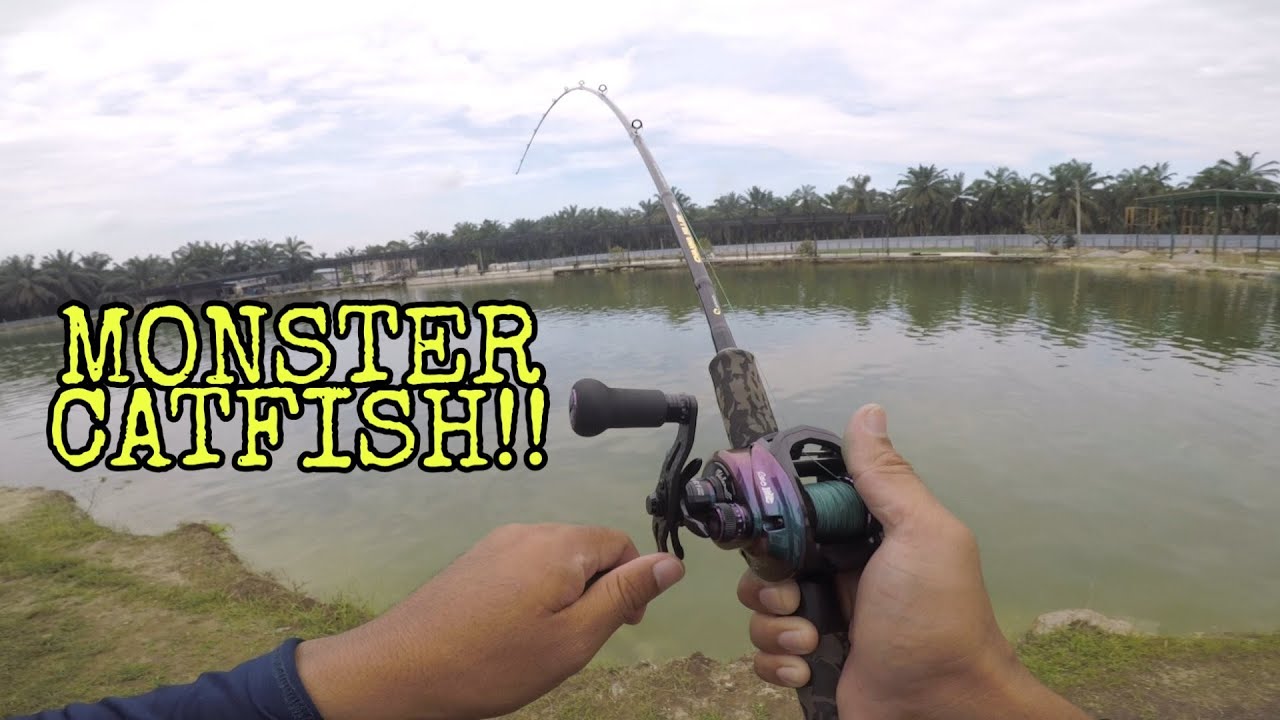 Fishing Monster Catfish (Malaysia)  Vlog