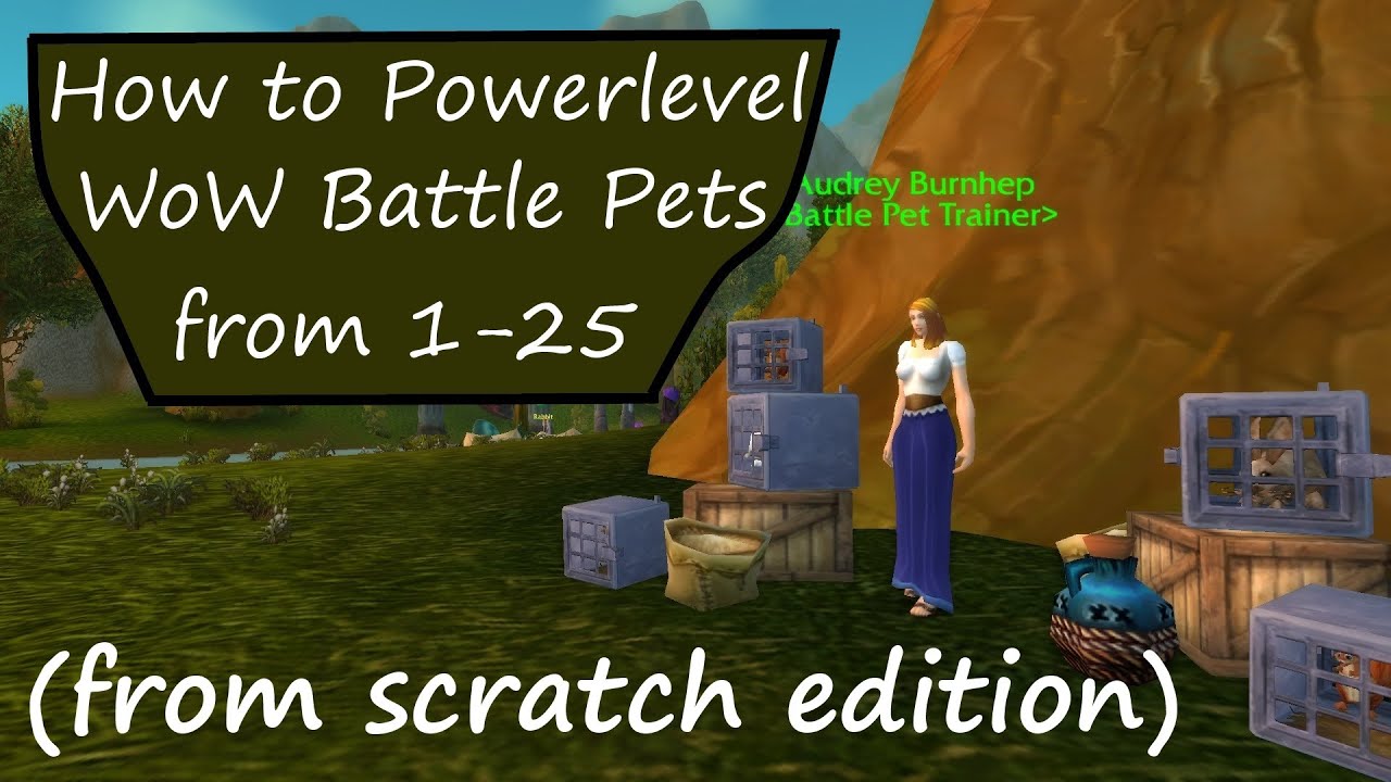 How to Powerlevel Your First WoW Pet Battle Team (from scratch)