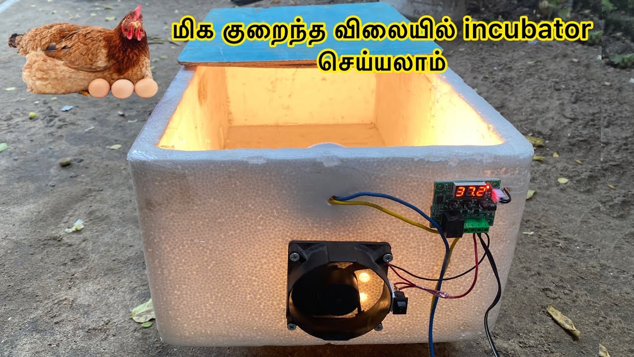 How to make egg incubator at home || MS 3 Tech #incubator