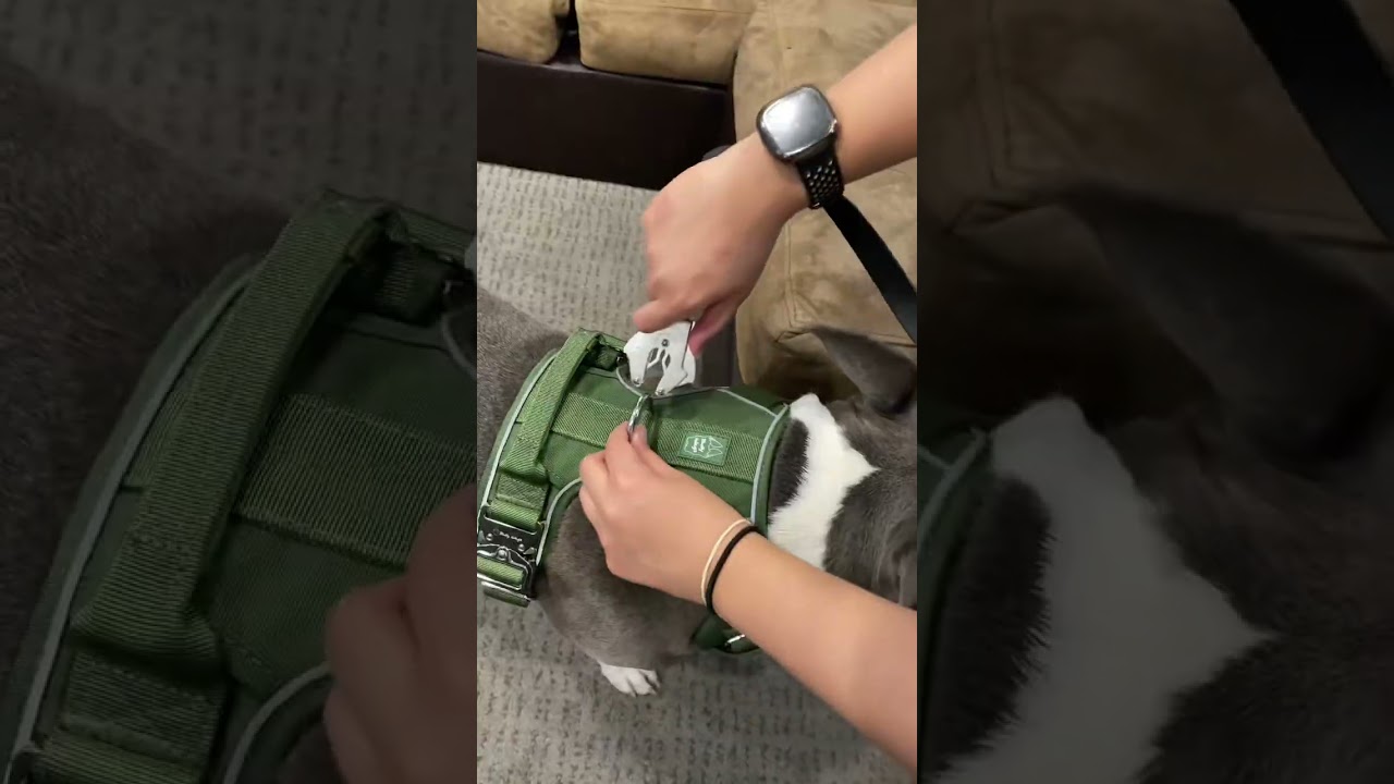Advanced Outdoor Solutions: Tactical, No-Pull & Adjustable Dog Harness for Working Dogs