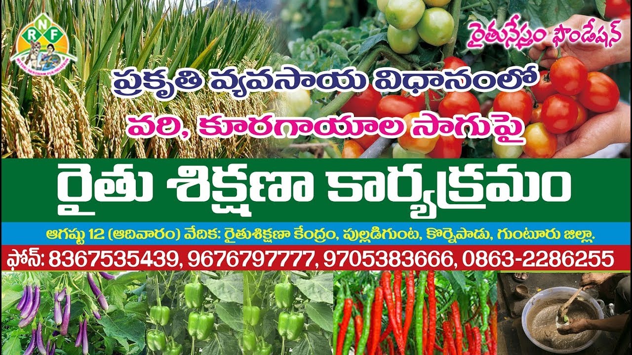 Training On Paddy, Vegetable Natural Farming &ndash; RythuNestham Foundation