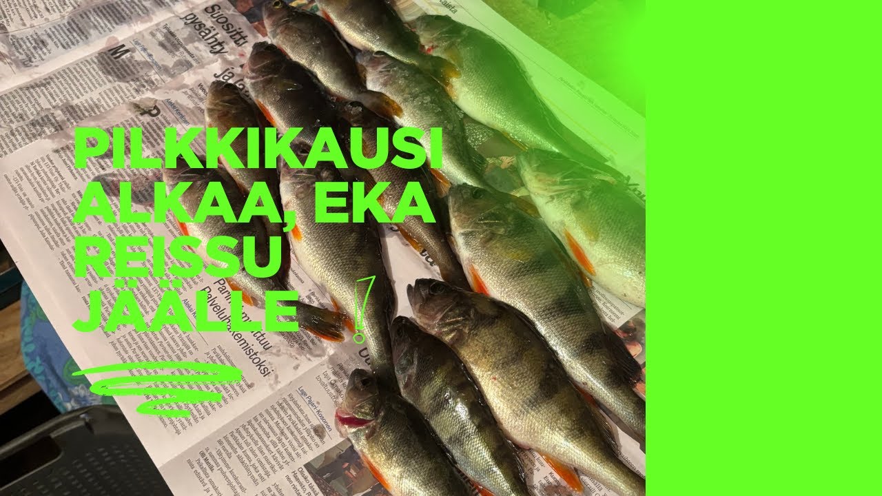 Jäällä taas! Pilkkikauden startti