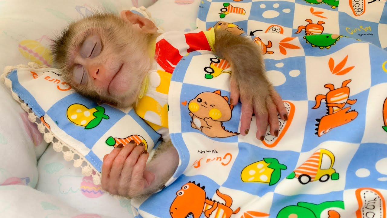 So cute! Monkey Puka sleeps soundly in the blanket Mom sewed