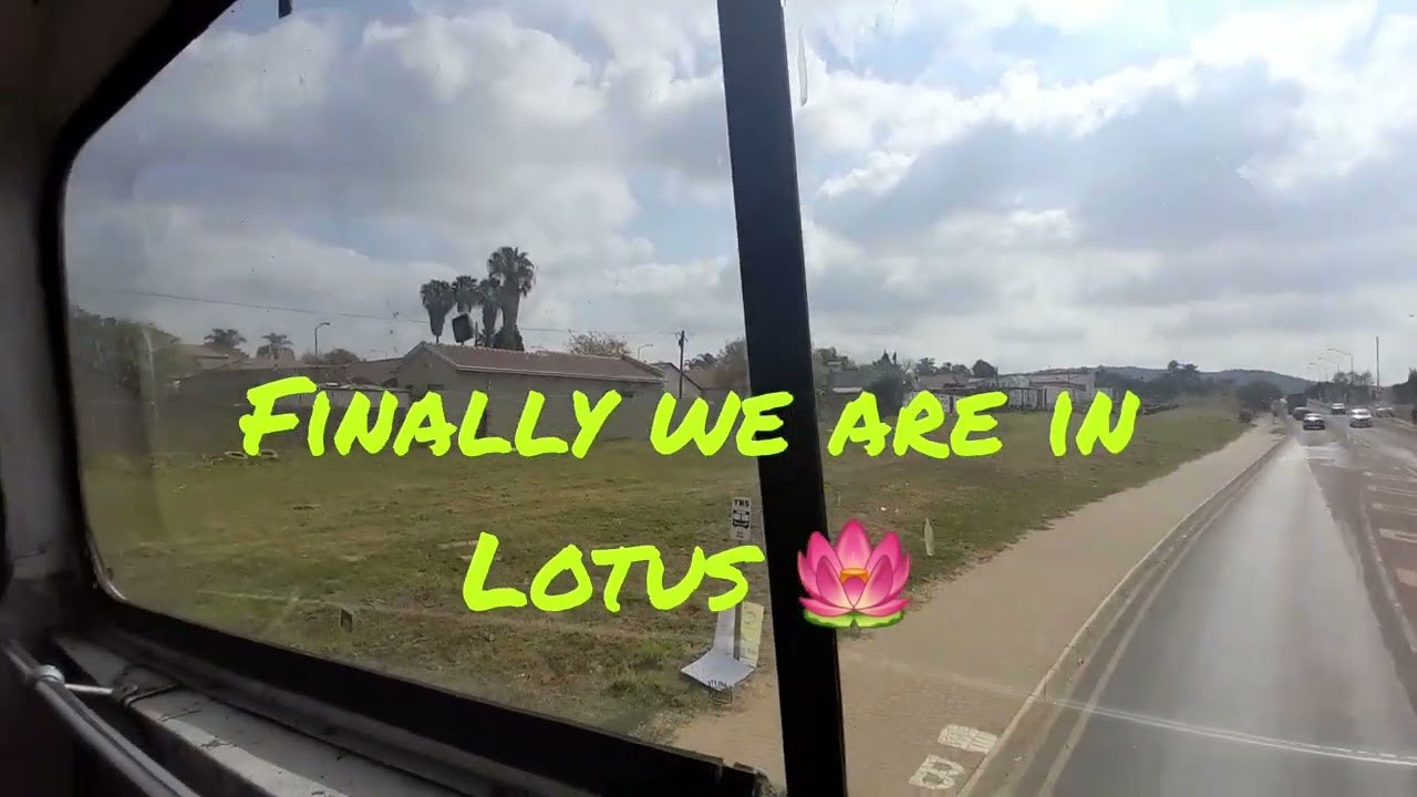 South 🇿🇦 african township lotus 🪷 gardens