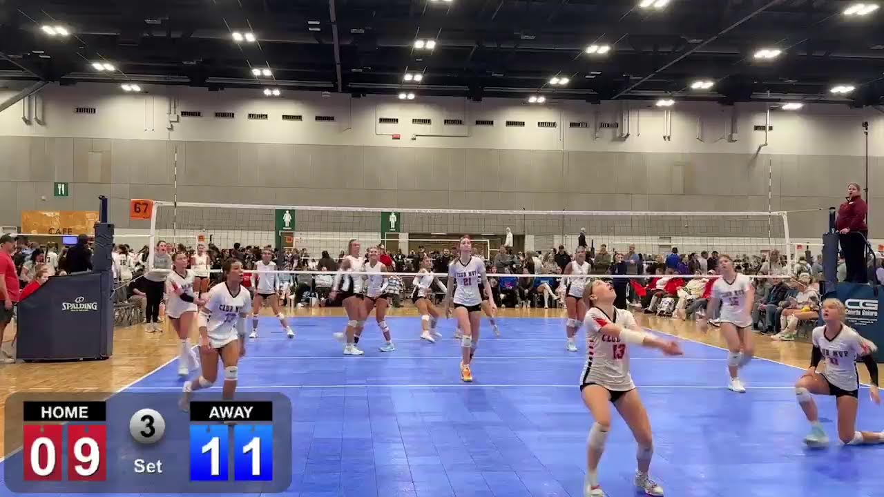 Volleyball  Live Stream