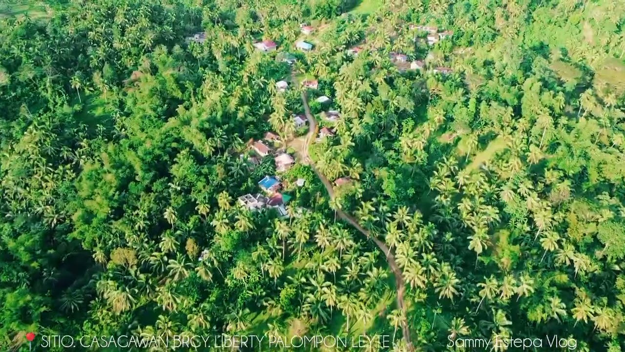 📍SITIO. CASAGAWAN BRGY. LIBERTY PALOMPON LEYTE.