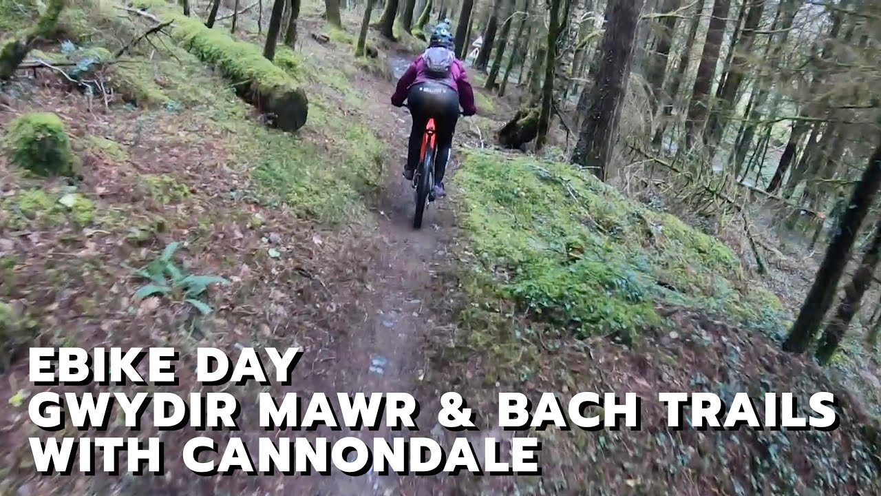 Ebike Gwydir Mawr & Bach Trails (Formerly Marin Trail) with Cannondale